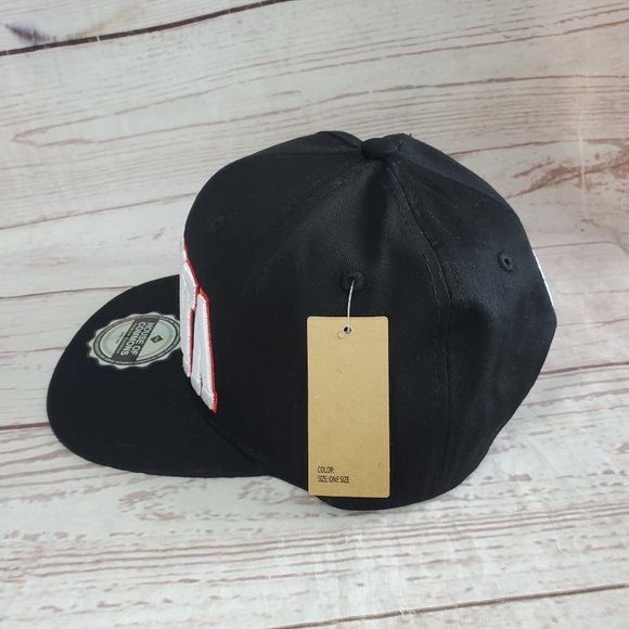 House Of Commons Premium Headwear Atlanta Embroidered %100 Cotton Snap Back Hat - Picture 8 of 12